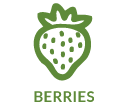 berries