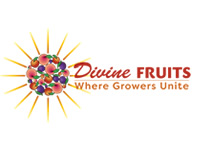 Divine-fruits